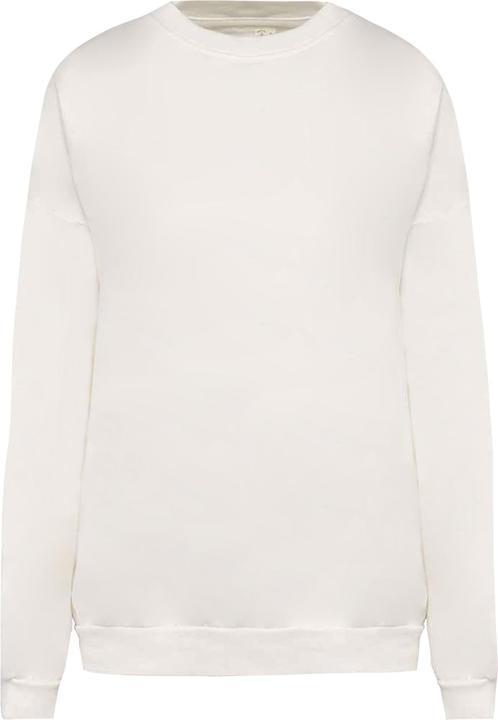 Native Spirit Sweatshirt (XXL)