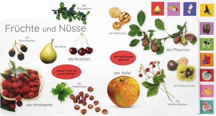 Produktbild Erstes Lernen. In der Natur (Deutsch, DK Verlag - Kids, 2021)