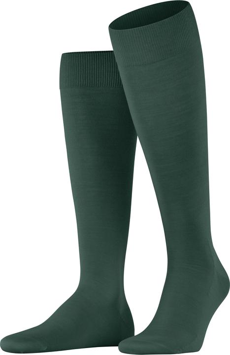 7441 verde cacciatore