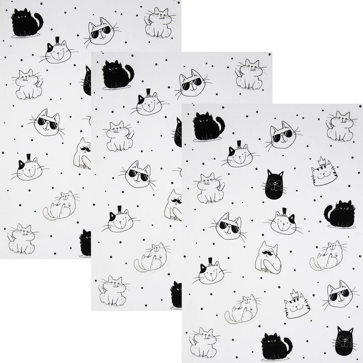 Kracht Cool Cat (50 x 70 cm)
