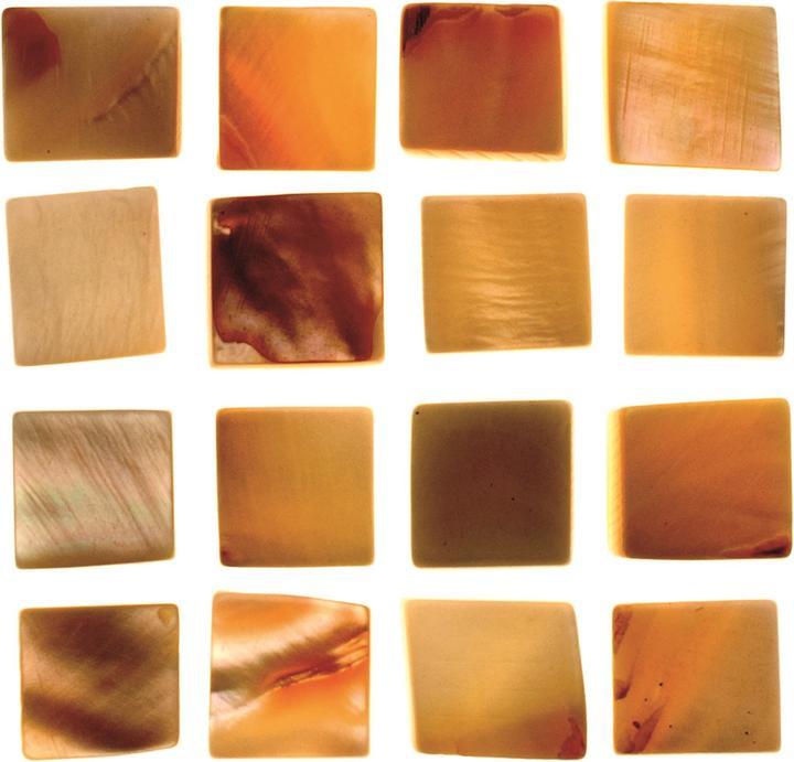 Produktbild Glorex Perlmutt-Mosaik 50g 12x12mm