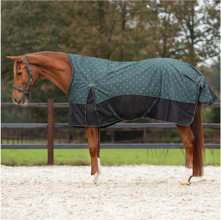 Produktbild Qhp Turnoutdecke Collection 150gr halber Hals (155 cm)
