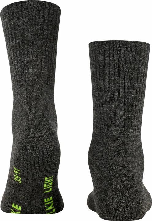 Produktbild Falke Socken Sportlich (2er Pack, 39 - 41)