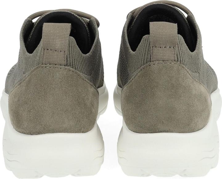 Actual product image Geox Sneaker (39)