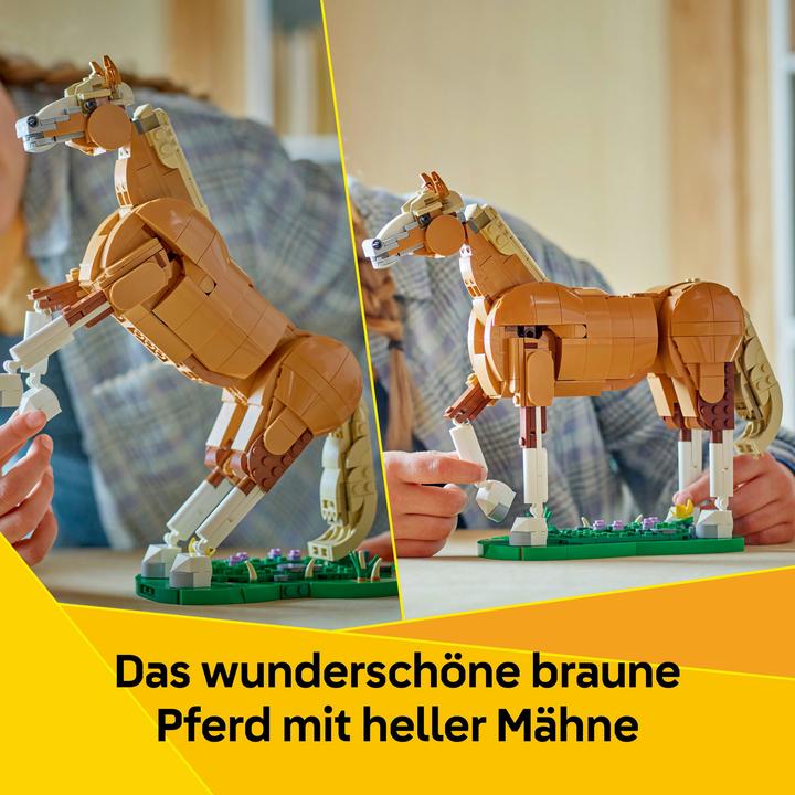 Immagine prodotto LEGO Prächtiges Ross (31166, LEGO Creator Expert)