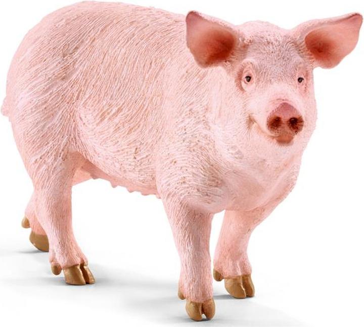 Image du produit Schleich Cochon