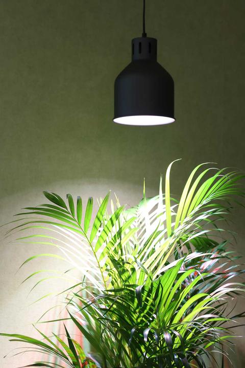 Produktbild Venso Grow Light Winter (LED, 245 V)