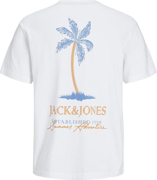 Produktbild Jack & Jones Jjsummer Vibes Tee Ss Crew Neck Ln (XXL)