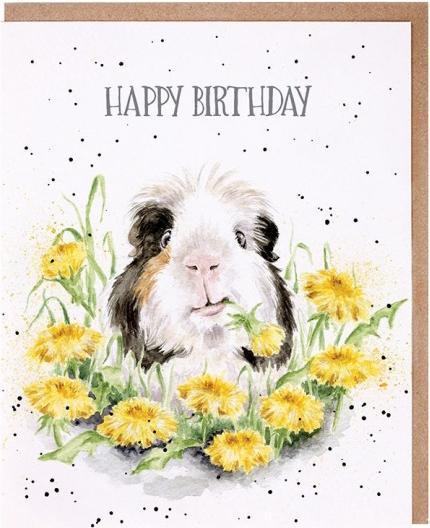 Actual product image Wrendale Design Geburtstagskarte - Meerschweinchen HAPPY BIRTHDAY Wrendale Designs (1 pcs.)
