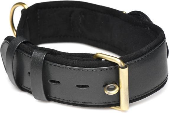Actual product image Master Series Tracer - Tracking Collar