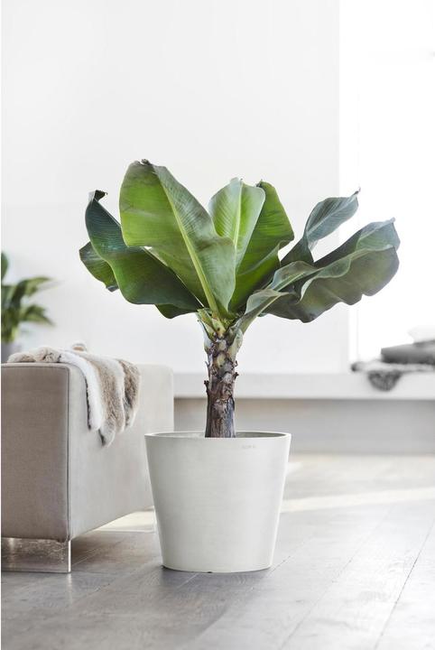 Produktbild Ecopots Amsterdam (40 cm)