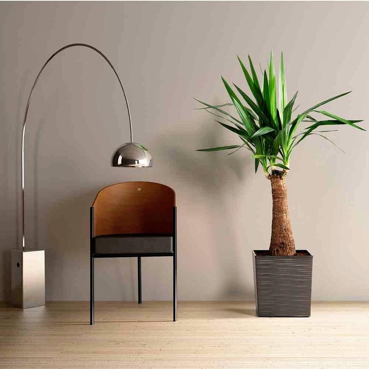 Immagine prodotto Siena Garden Modern (30 cm)