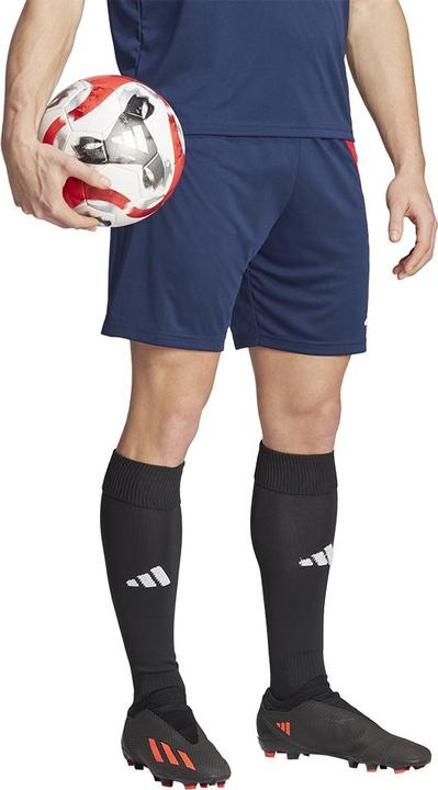 Image du produit adidas FORTORE 23 Short d'entraînement hommes (XXL)