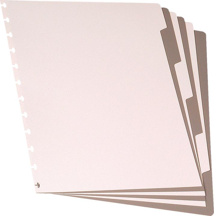 Actual product image Adoc Blank register (A4, Plain)