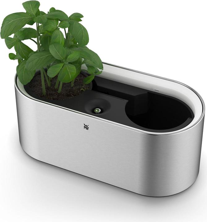 WMF Ambient (14.90 cm)