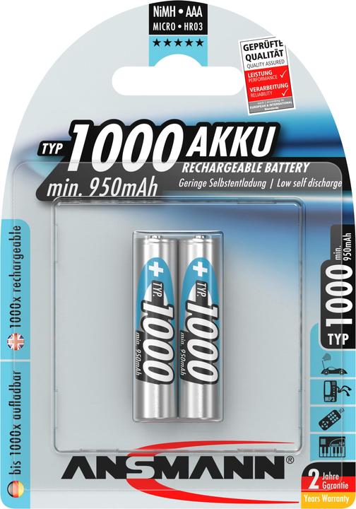 Actual product image Ansmann Typ 1000 (2 pcs., AAA, 1000 mAh)