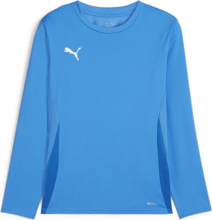Immagine prodotto Puma Maglia TeamGOAL LS Jr (152)