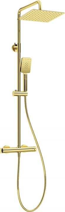 Deante Rain shower with thermostatic shower mixer