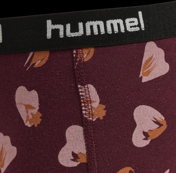 Image du produit hummel Hmlcarolina Hipsters 2-Pack (104, lot de 2)