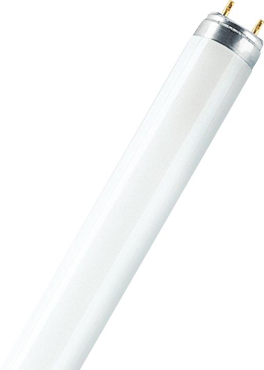 Produktbild Osram Lumilux-Lampe (G13, 16 W, 1250 lm, 1 x, G)