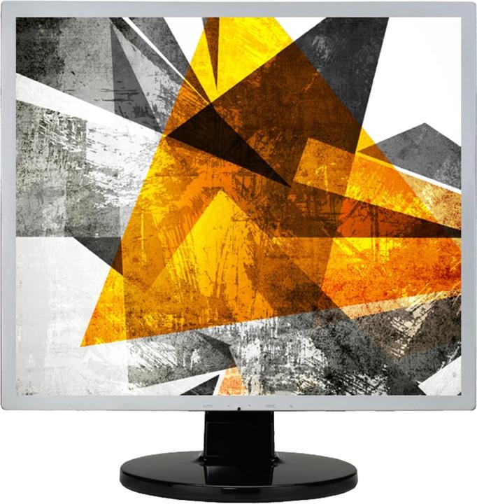 Immagine prodotto AOC E719SDA 43,18cm 17 pollici TFT WLED 5:4 1280x1024 analogico + altoparlante digitale 20M:1 250cd/m² (1280 x 1024 pixel, 17")