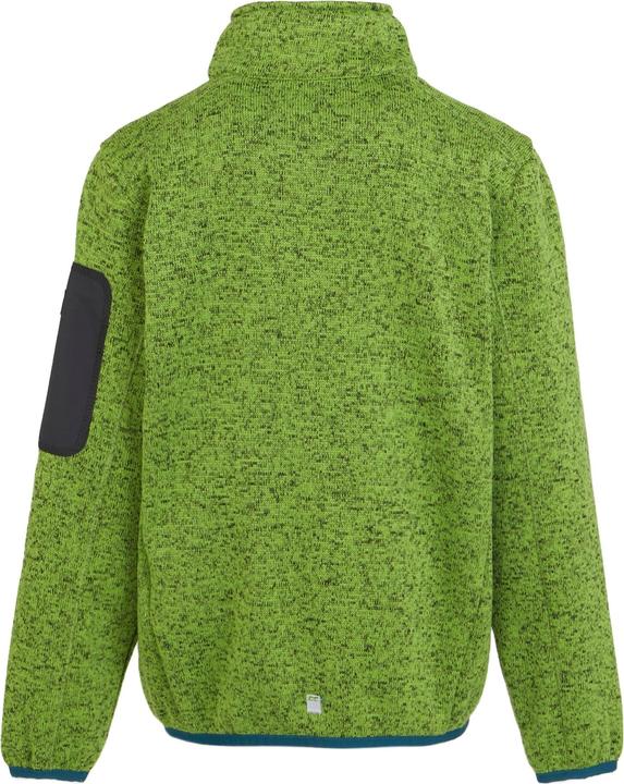 Actual product image Regatta Childrens/Kids Newhill Fleece Jacket (158)