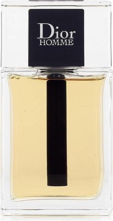 Dior Homme (Eau de Toilette, 100 ml)