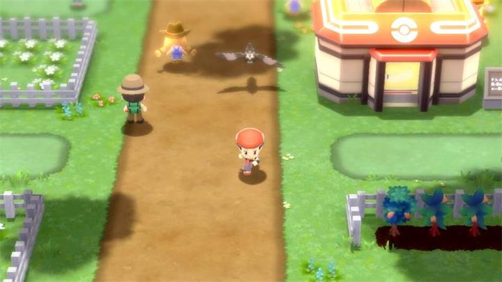 Actual product image Nintendo Pokémon Brilliant Diamond (Switch, Multilingual)
