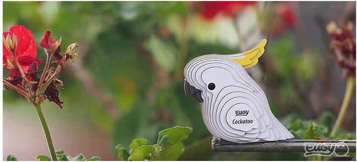 Immagine prodotto Eugy Cacatua
