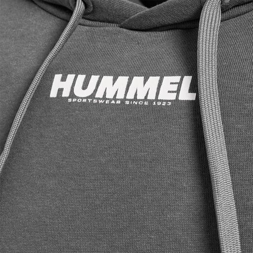 Produktbild hummel Legacy Hoodie (S)