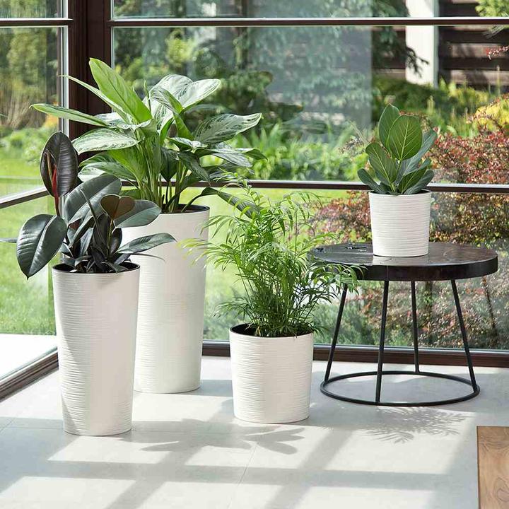 Actual product image Siena Garden Modern (30 cm)