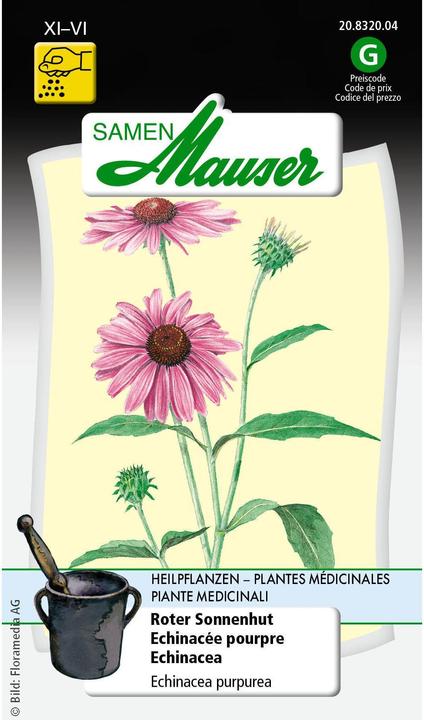 Produktbild Samen Mauser Roter Sonnenhut (Pflanzensamen)