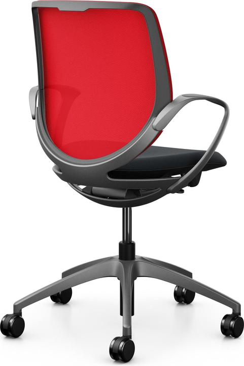 Actual product image Giroflex Netzrücken mit Armlehnen 313