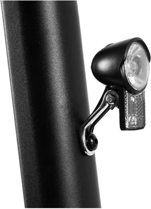Image du produit CityBlitz Voyageur (20 km/h, 30 km, 250 W)