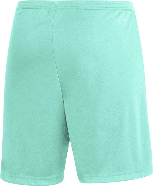 Actual product image adidas Entrada 22 Shorts Men (M)