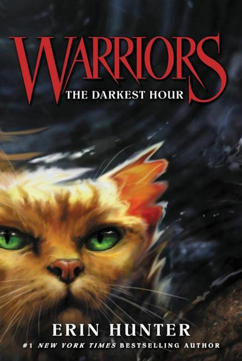 Produktbild Warriors 06. The Darkest Hour