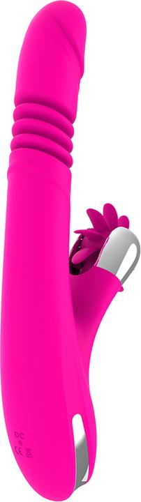 Actual product image Diversia HARE TOP & BOTTOM 24 CM