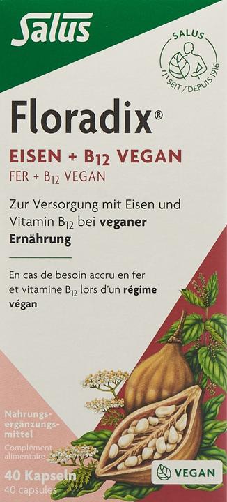 Actual product image Floradix Iron and B 12 Vegan (40 Piece, Capsules, 37 g)