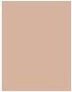 Actual product image Dr. Hauschka bronzing powder (No. 01 Bronze, Bronzer, 10 g)