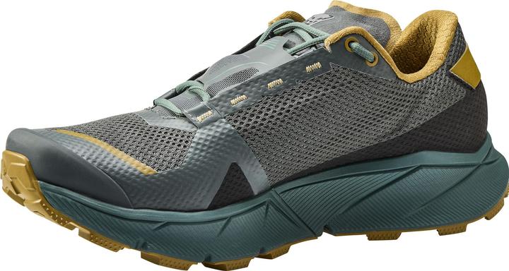Produktbild Dynafit Ultra 100 GTX Laufschuh (42.5)