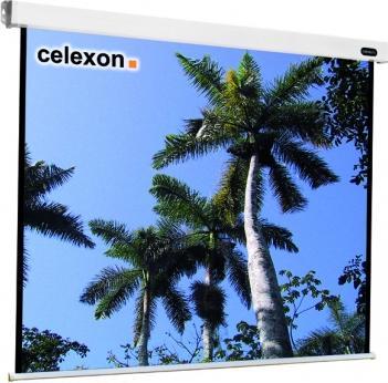 Produktbild Celexon Motor Professional, Leinwand, 1:1 (98.82", 1:1)