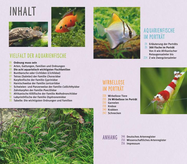 Produktbild Aquarienfische von A bis Z (Deutsch, Ulrich Schliewen, 2017)