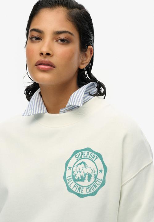 Actual product image Superdry Lo-fi Outdoor Mono Loose Crew (14)