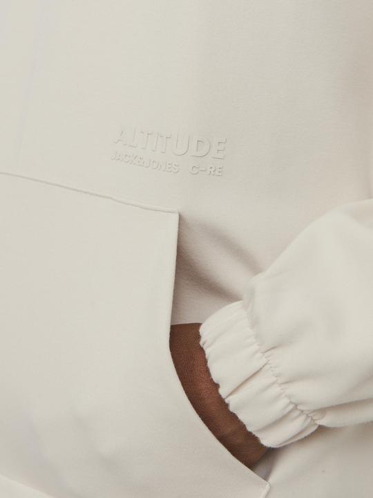 Actual product image Jack & Jones Jcoaltitude Sweat Hood Sn (S)