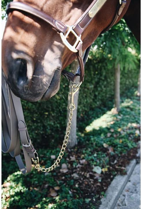 Produktbild Kentucky Horsewear Hengstkette