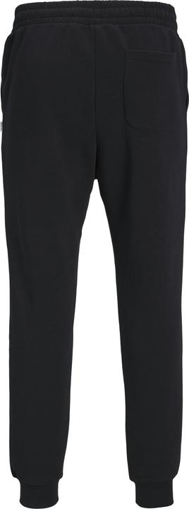 Actual product image Jack & Jones Gordon Bradley Sweat Pants Black (M)