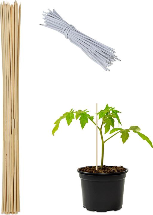 Actual product image Relaxdays 50x plant stick (60 cm, 60 cm)