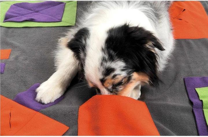 Immagine prodotto Knauder's Best Knauder's Sniffpad 100x100cm (Intelligenza cane toy)