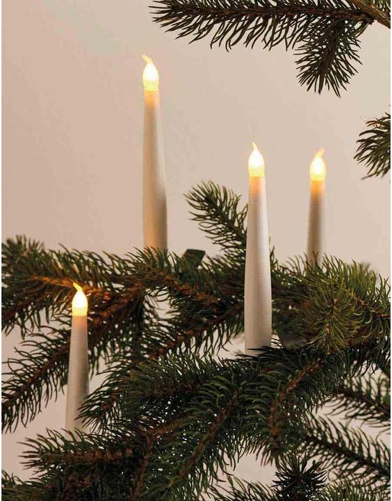 Actual product image Sirius Tree candle Caroline (10 x)