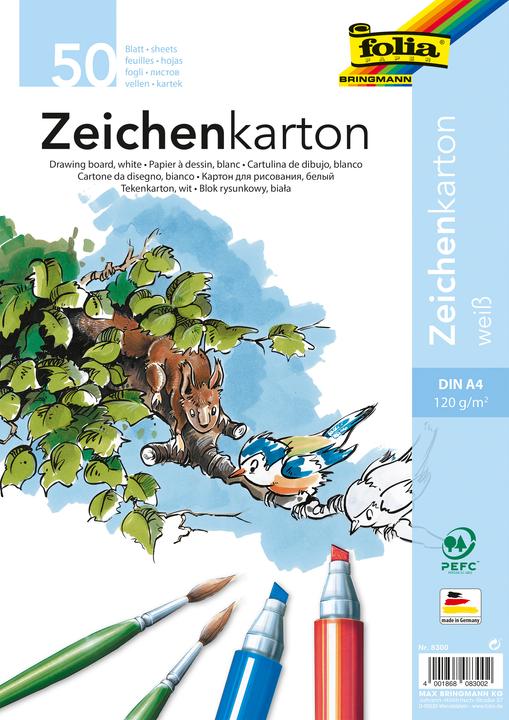 Folia Zeichenkarton (120 g/m², 50 x)